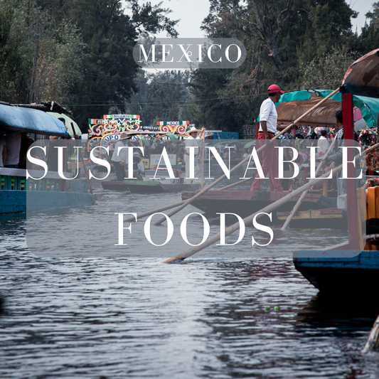 Sustainable Foods | Mexico City - Xochimilco
